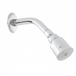 Regadera Cromo 4501B DICA